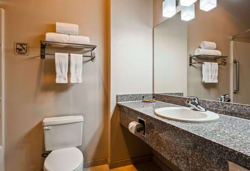 فندق Best Western Plus Memorial Inn