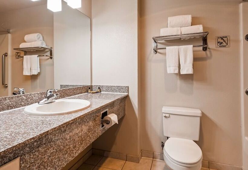 فندق Best Western Plus Memorial Inn