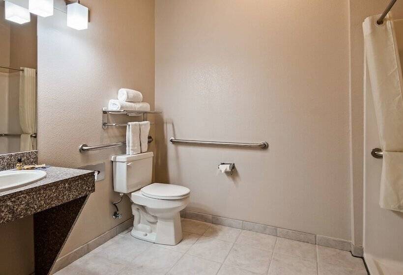 فندق Best Western Plus Memorial Inn