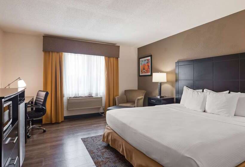 هتل Best Western Plus Newark/christiana Inn