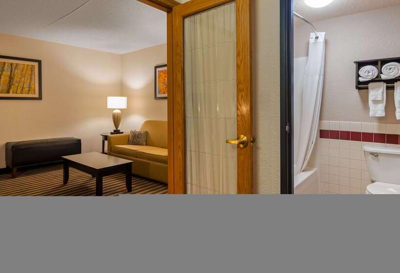 هتل Best Western Plus Newark/christiana Inn