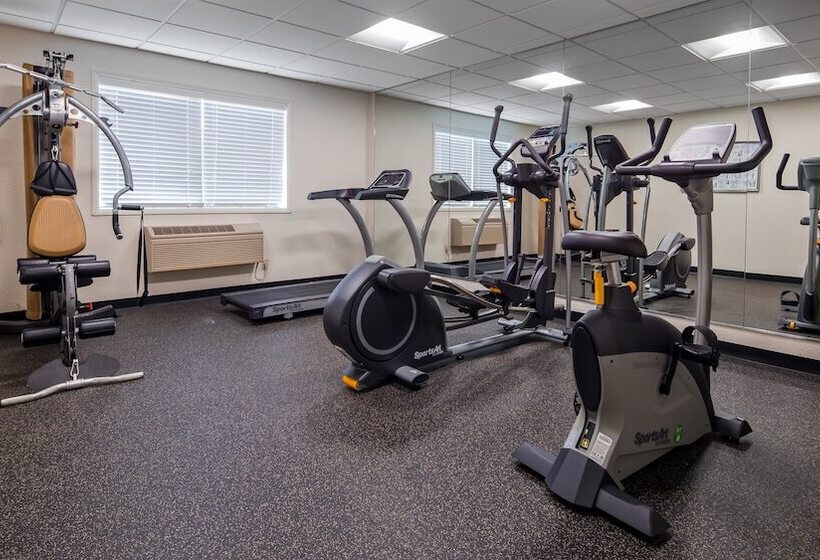 فندق Best Western Plus Newark/christiana Inn