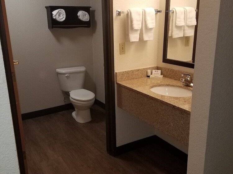 هتل Best Western Plus Newark/christiana Inn