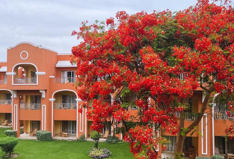 ホテル Sentido Caribbean World Soma Bay