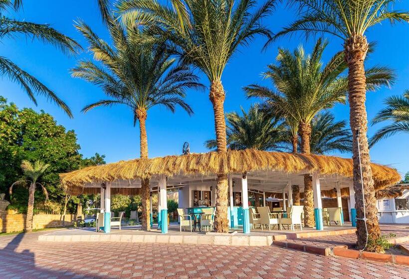 ホテル Sentido Caribbean World Soma Bay