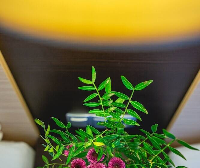 Casino & Hotel Admiral Ptuj