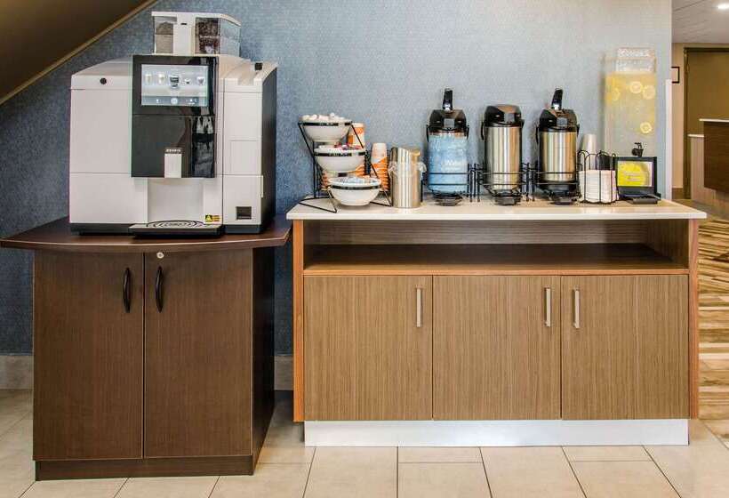 酒店 Comfort Inn Airport Dorval