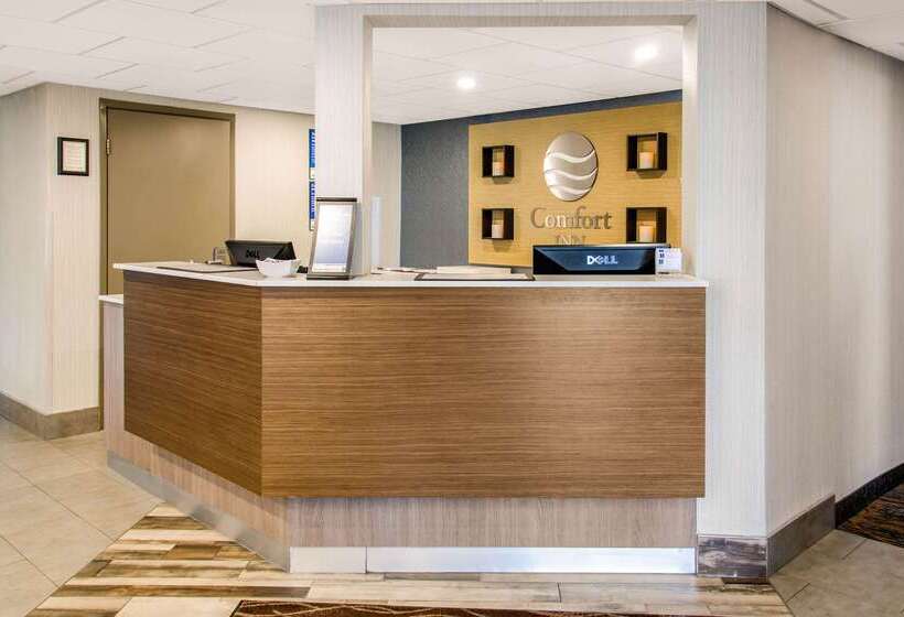 酒店 Comfort Inn Airport Dorval