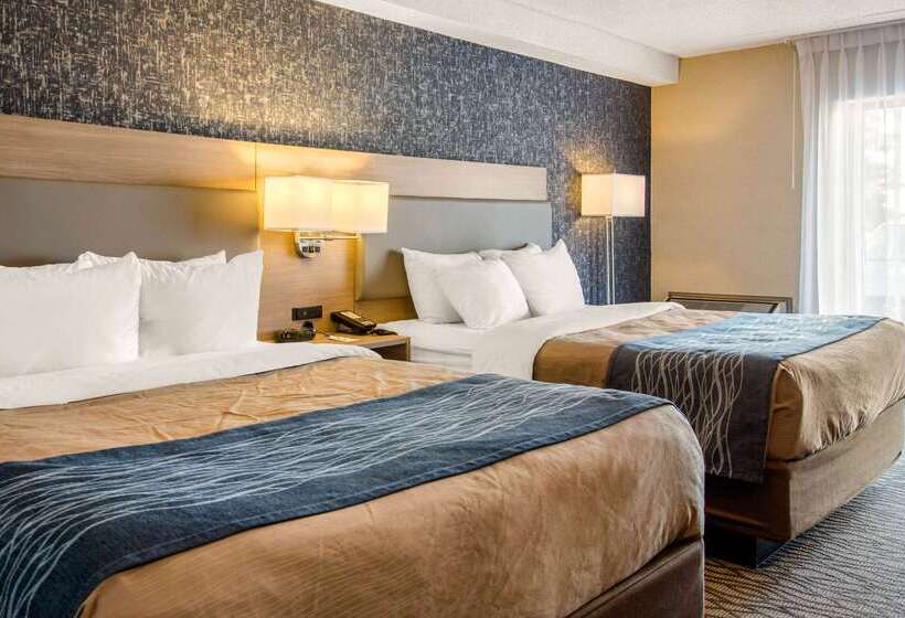 酒店 Comfort Inn Airport Dorval