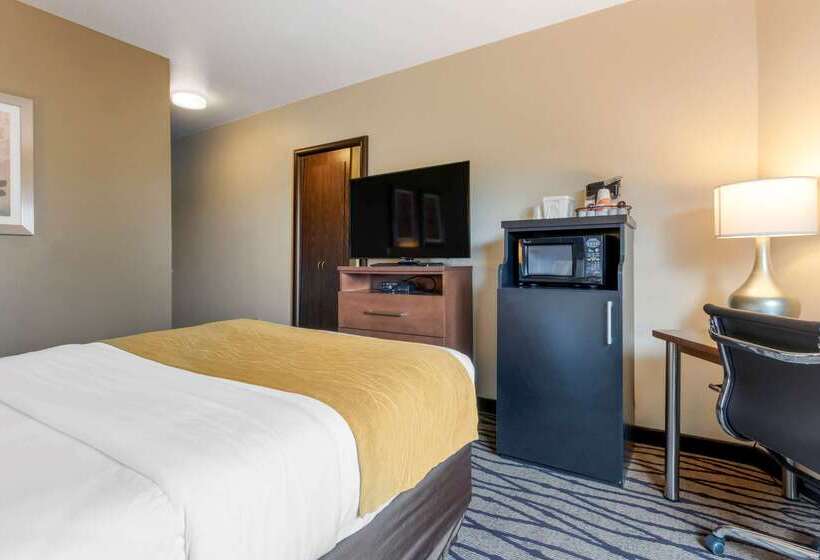Отель Comfort Inn & Suites Market Airport