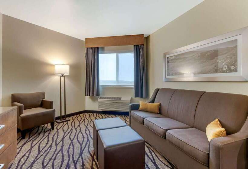 Отель Comfort Inn & Suites Market Airport