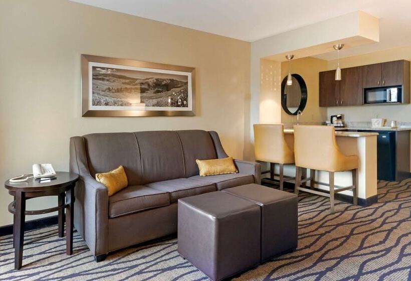 Отель Comfort Inn & Suites Market Airport