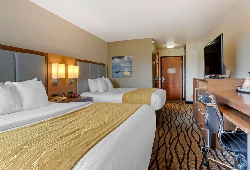 Отель Comfort Inn & Suites Market Airport