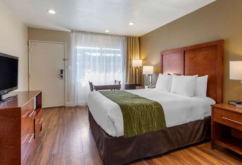 فندق Comfort Inn Bishop