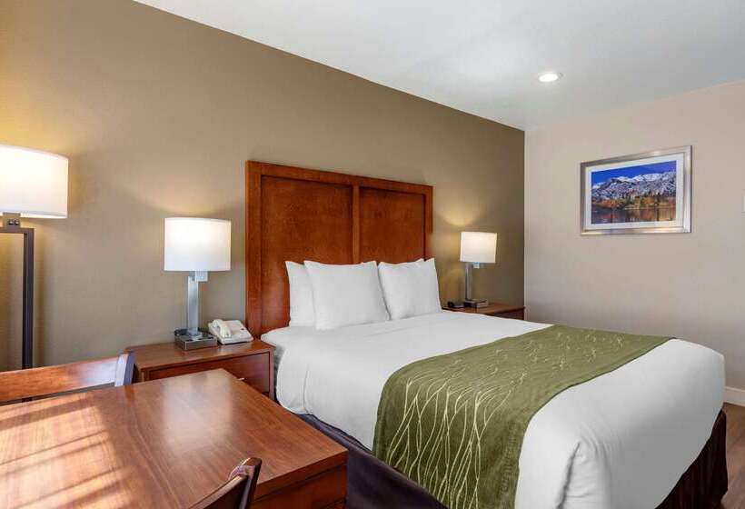 فندق Comfort Inn Bishop