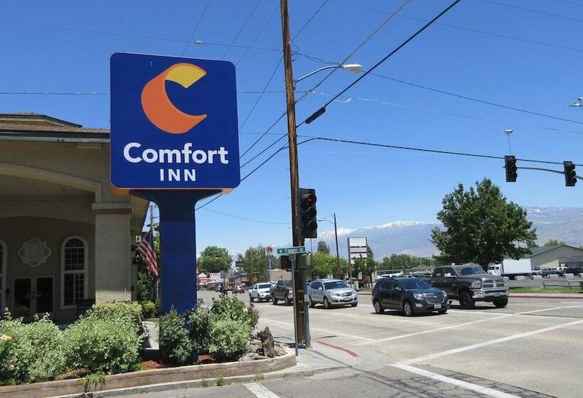 فندق Comfort Inn Bishop