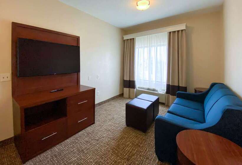 هتل Comfort Inn East Windsor  Springfield