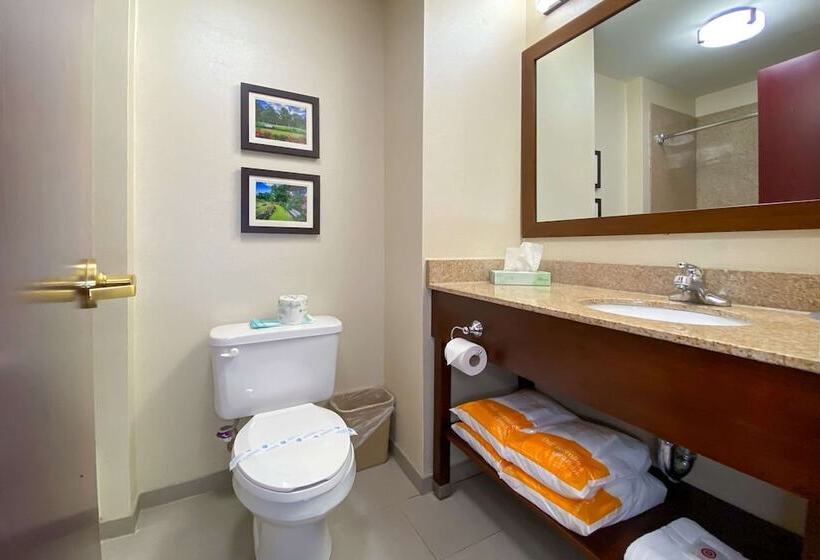 هتل Comfort Inn East Windsor  Springfield