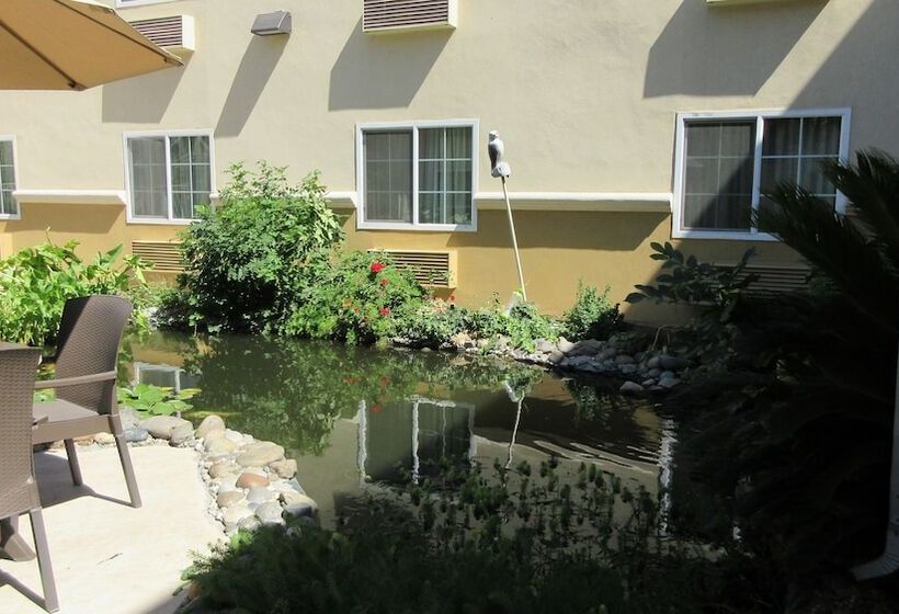 בית מלון כפרי Comfort Inn Modesto