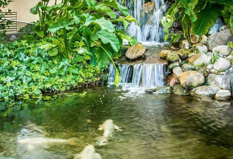 בית מלון כפרי Comfort Inn Modesto