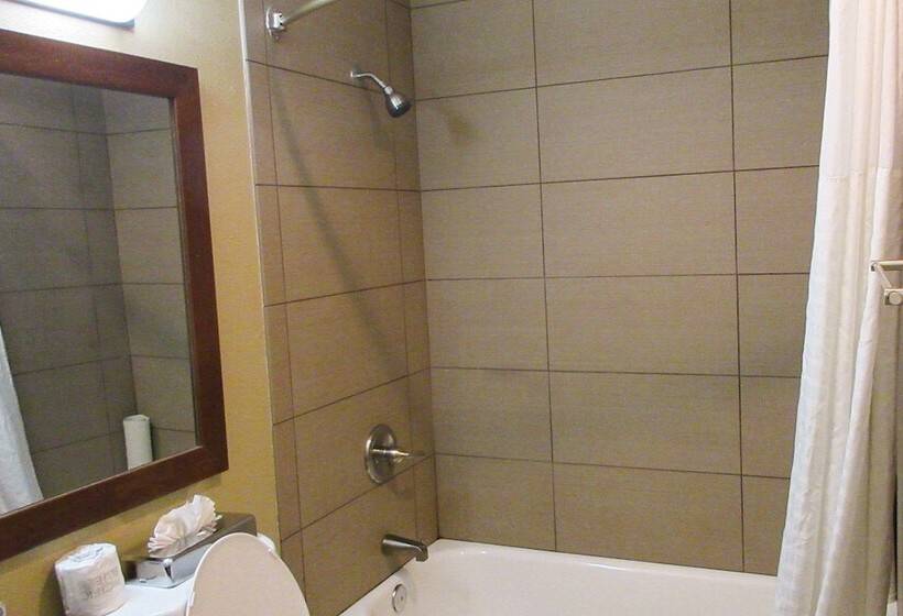 בית מלון כפרי Comfort Inn Modesto