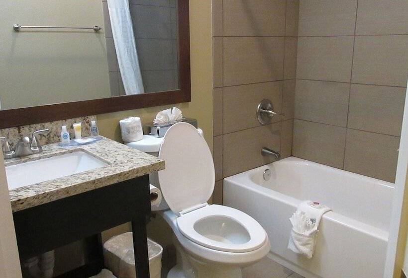 בית מלון כפרי Comfort Inn Modesto