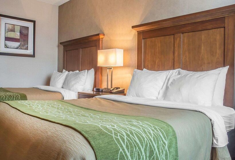 فندق Comfort Inn