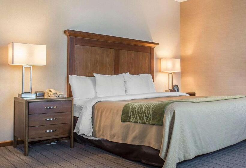 فندق Comfort Inn