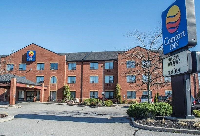 فندق Comfort Inn