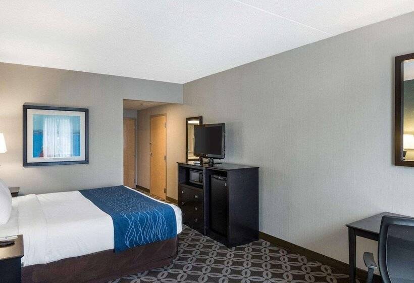 Отель Comfort Inn Rehoboth Beach