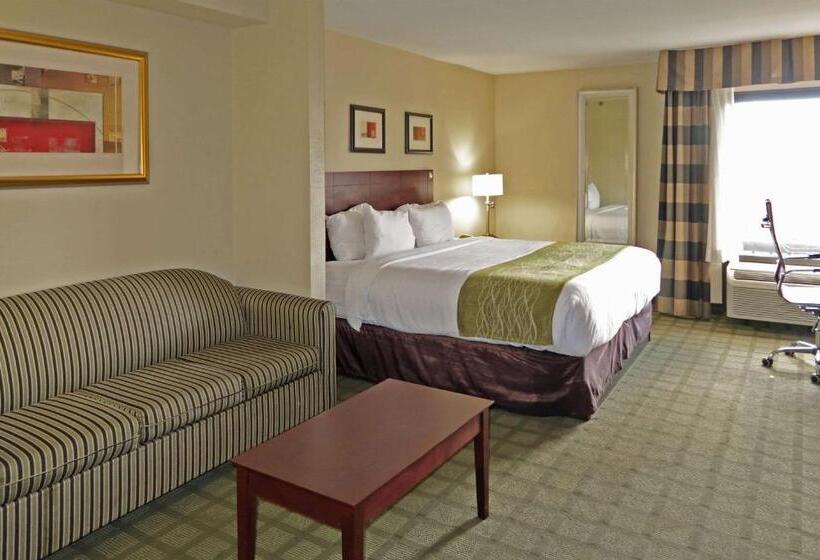هتل Comfort Inn Southwest Fwy At Westpark