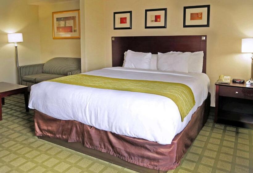 酒店 Comfort Inn Southwest Fwy At Westpark