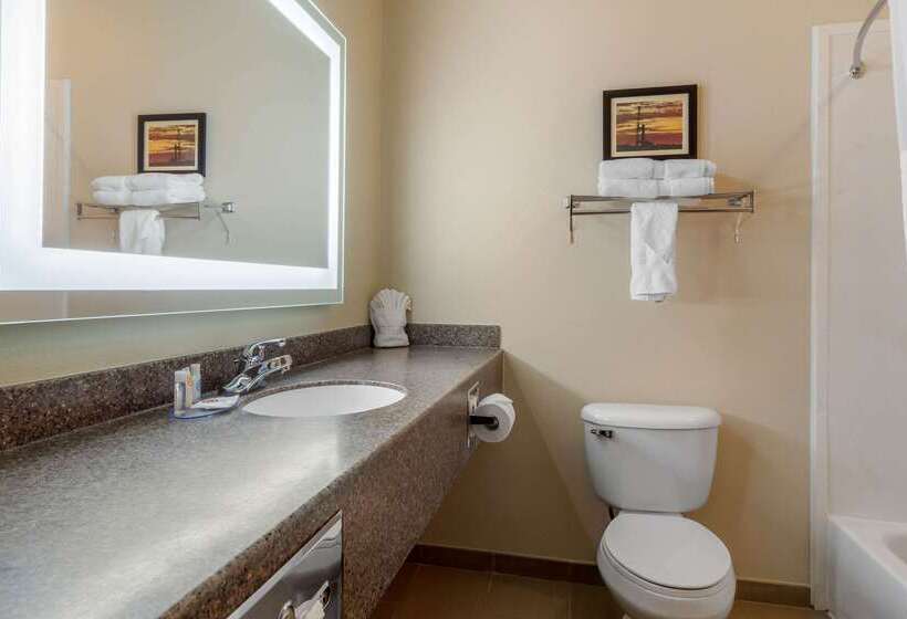 فندق Comfort Inn Sterling