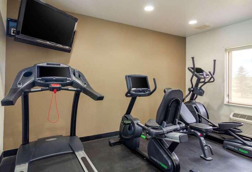 فندق Comfort Inn Sterling