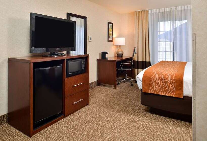 فندق Comfort Inn & Suites Madison North