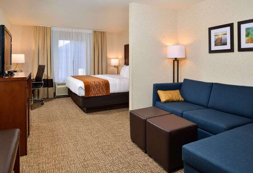 فندق Comfort Inn & Suites Madison North