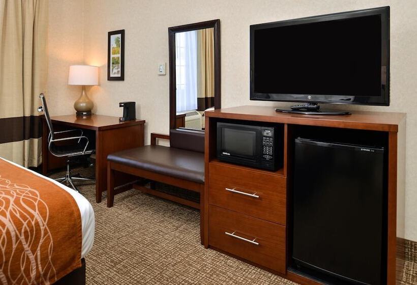فندق Comfort Inn & Suites Madison North