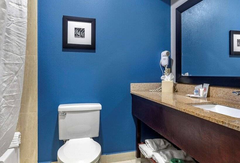 Отель Comfort Inn & Suites Mansfield