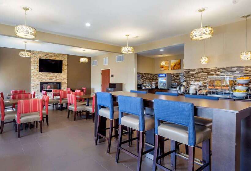 فندق Comfort Inn & Suites North Aurora   Naperville