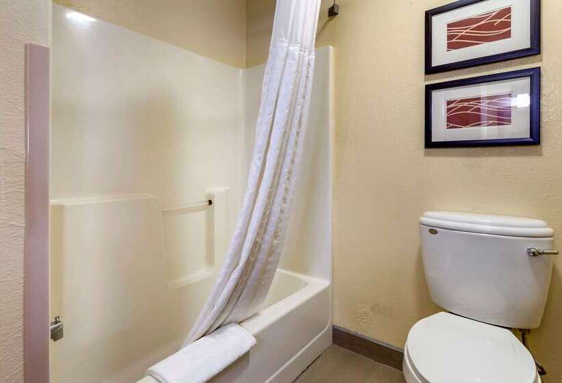 فندق Comfort Inn & Suites North Aurora   Naperville