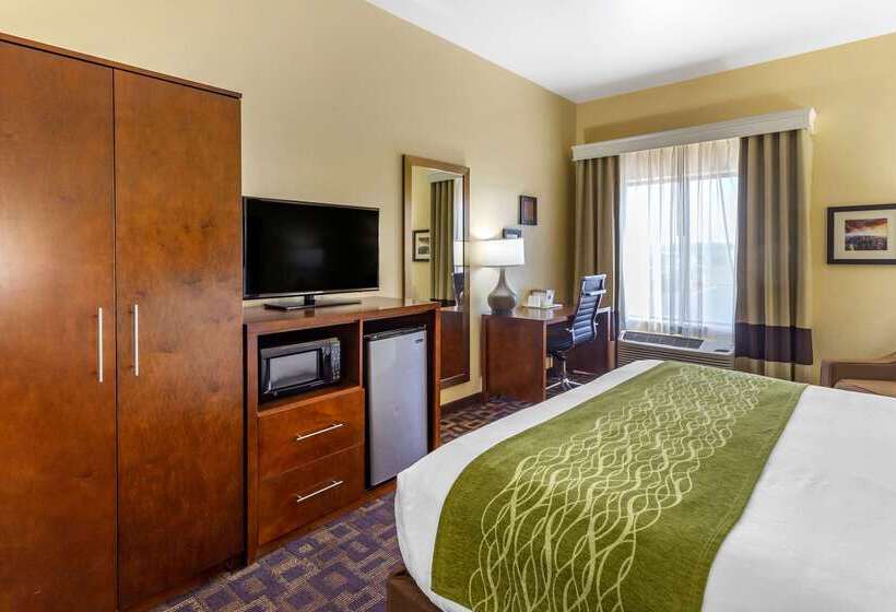 فندق Comfort Inn & Suites North Aurora   Naperville