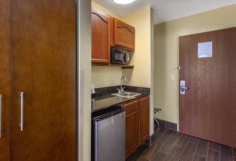 فندق Comfort Inn & Suites North Aurora   Naperville