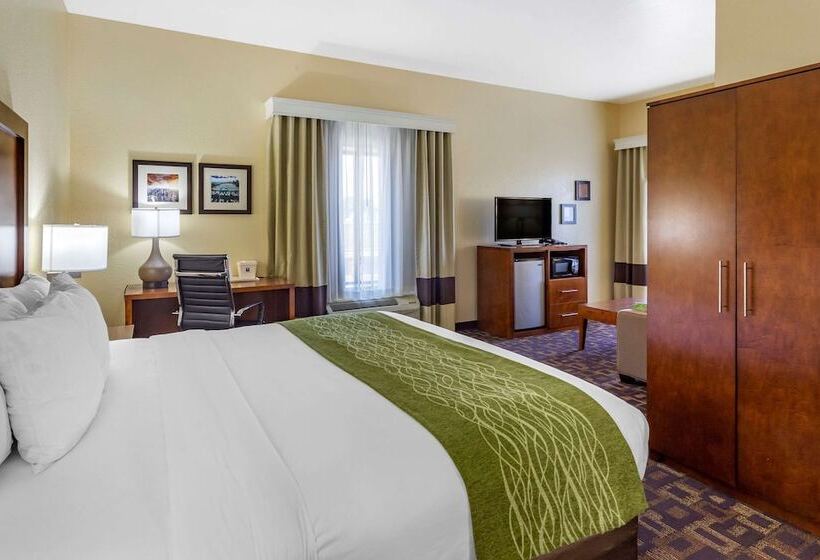 فندق Comfort Inn & Suites North Aurora   Naperville