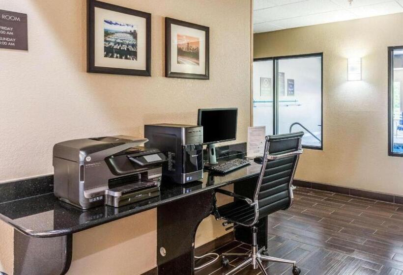 فندق Comfort Inn & Suites North Aurora   Naperville