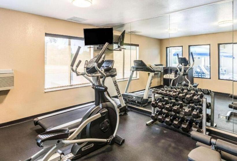 酒店 Comfort Inn & Suites North Aurora   Naperville