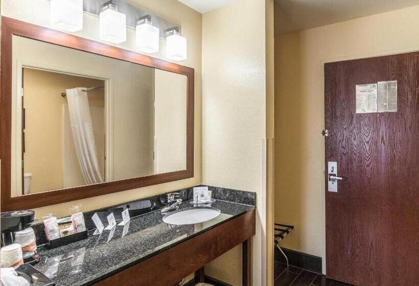 فندق Comfort Inn & Suites North Aurora   Naperville