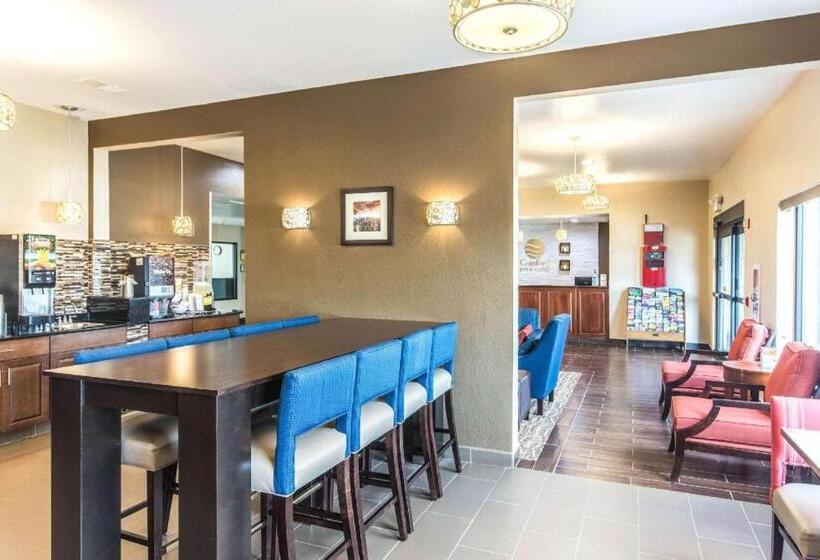 فندق Comfort Inn & Suites North Aurora   Naperville