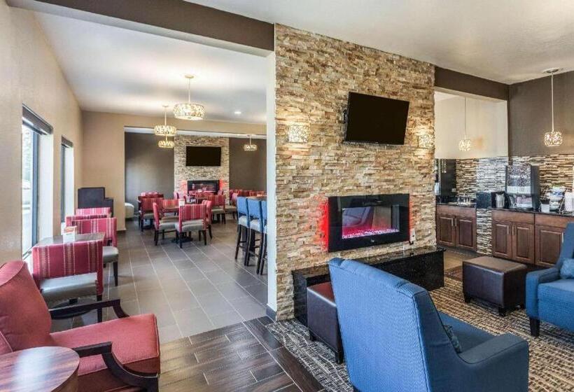 فندق Comfort Inn & Suites North Aurora   Naperville