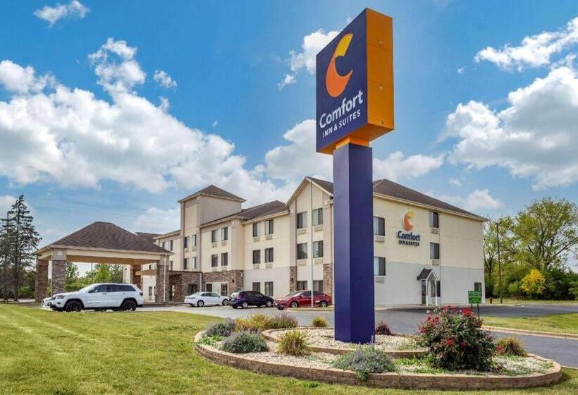 فندق Comfort Inn & Suites North Aurora   Naperville