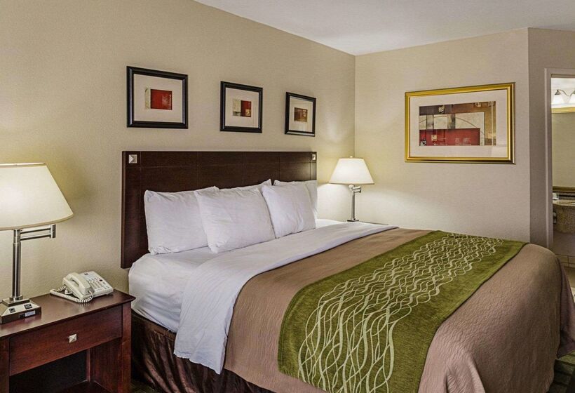 酒店 Comfort Inn Southwest Fwy At Westpark